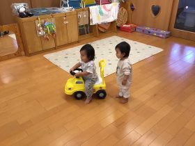 11月のりす組さん